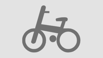 Bicycle Brake Lever